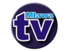 Y_SK_TV_MLAWA.png