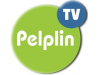 Y_SK_TV_PELPIN.png